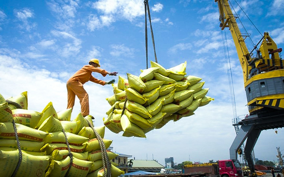 5 “vị Vua” mang về hàng chục tỷ USD, xây vị thế rực rỡ cho Việt Nam trên thị trường quốc tế