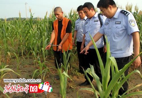 giet-ca-nha-dong-bon-vi-khong-duoc-chia-tien-trom-cap