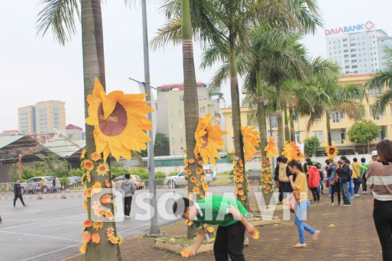 Ngày hội Hoa hướng dương tỏa sáng 2 miền Nam - Bắc 1