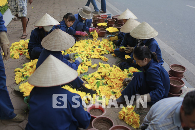 nguoi-dan-thu-do-tat-bat-trang-hoang-ki-niem-ngay-giai-phong