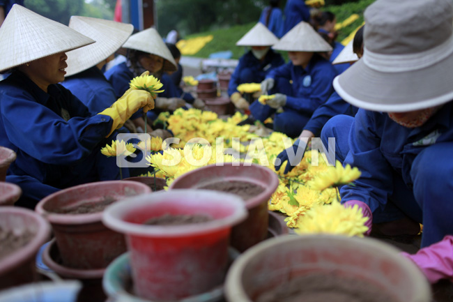 nguoi-dan-thu-do-tat-bat-trang-hoang-ki-niem-ngay-giai-phong