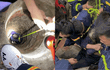 Khoảnh khắc giải cứu cụ bà 84 tuổi rơi xuống giếng sâu 20m, miệng giếng chỉ bằng vòng tay người lớn