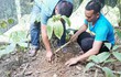 Công an đề nghị cung cấp hồ sơ hai nhiệm vụ khoa học "chết yểu"