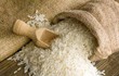 Lộc Trời tháp tùng Thủ tướng 'mở cánh cửa' cho gạo Việt ở đất nước 210 triệu dân