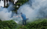 Virus Chikungunya lây lan ở Quảng Đông, loạt biện pháp phòng chống Covid-19 được kích hoạt