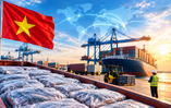 Tin vui cực lớn đến từ Brazil, Nhật Bản, Ả Rập Xê Út, mở ra “cơ hội vàng” cho Việt Nam