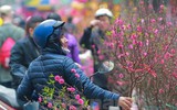 Các bộ ngành góp ý gì về lịch nghỉ Tết Nguyên đán?