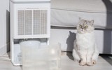 Nắng nóng khiến điều hòa phải hoạt động hết công suất, đây có thể là thứ giúp hóa đơn điện của bạn "dễ chịu" hơn?