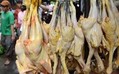 Thị trường Tết: Báo động thực phẩm nhiễm kháng sinh và chất cấm