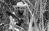 Nhớ lần chặt mía cùng lãnh tụ Fidel Castro