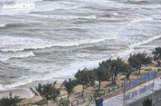 Tin bão mới nhất năm 2025