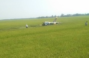 Máy bay L-39 của KQVN rơi ở Phú Yên