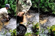Ô nhiễm nước sạch Sông Đà