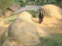Thanh Hoá: Rùa khổng lồ mắc lưới ngư dân