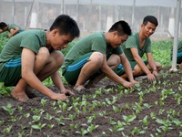 'Đột nhập' nơi đào tạo tân binh nhí của Bắc Triều Tiên