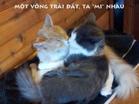 Tử vi ngày thứ Bảy (23/3) của bạn