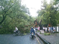 'Phao' thi bán tràn lan… như rau