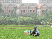 "30.000 tỷ ưu đãi mua nhà như... xương gà chiên bơ"