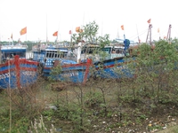 Bão số 6 đổ bộ vào vùng ven biển các tỉnh Nam Định - Thanh Hóa