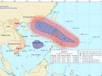 Hà Nội xả nước vào nội thành, người dân vợt bắt hàng tạ cá 