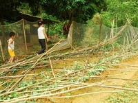 Lún 'chưa từng thấy' trên đại lộ nghìn tỷ