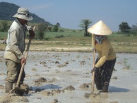 Vượt trăm km để dự nghi lễ chào cờ trên Quảng trường Ba Đình ngày 30/4