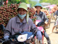 Công tử Bạc Liêu đốt tiền làm đuốc tìm tiền - chuyện thật mà như giai thoại