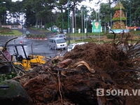 Xe gây tai nạn định bỏ chạy, hàng loạt taxi từ chối cứu người