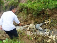 Thái Bình: Phát hiện thi thể người đàn ông trong bể nước trước nhà