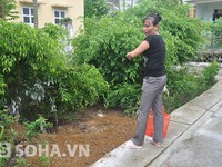 Lạng Sơn: Rúng động vì vỡ “tín dụng đen” hàng trăm tỉ đồng