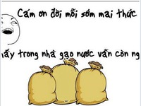 Mọc ra nhiều fanpage anti Quang Anh, dân mạng nổi giận