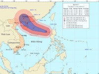 TP.HCM: Nam thanh niên nhảy cầu tự tử người còn giắt kim tiêm