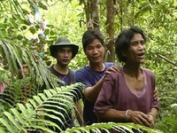 Vũng Tàu: "Hàng nghìn người tham gia chống bạo động"