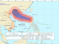 “Trả” bố con “người rừng” về rừng là giải quyết sai lầm này bằng sai lầm khác