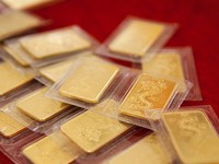 Đấu thầu vàng miếng phiên 8: Giá vàng trong nước sẽ giảm?