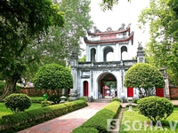 Chuyên gia Trịnh Trung Hoà: 