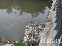 Nghệ An: Bé 2 tuổi chết đuối tại cống nước trường mầm non 