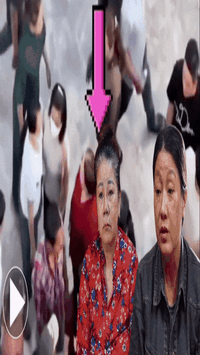 Thông tin mới nhất vụ bắt hàng loạt người dàn cảnh cướp giật tài sản nghiêm trọng tại Liên Hoa Bảo Tháp