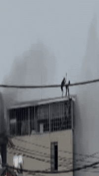 CLIP: Cận cảnh khoảnh khắc nghẹt thở khi 2 người đàn ông phá mái tôn mở đường sống trong đám cháy nhà 7 tầng ở Lĩnh Nam