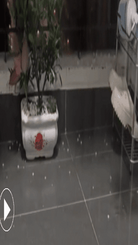 Hình ảnh mặt đường Hà Nội trắng xoá vì mưa đá