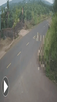 Sẽ họp báo vụ tai nạn khiến nam sinh lớp 12 tử vong khi có kết luận điều tra