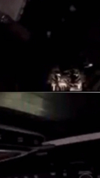 Phi hành gia Artemis II mang iPhone lên vũ trụ, gây sốt với khoảnh khắc “ném điện thoại” giữa không trung