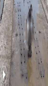 Hiếm thấy cảnh hàng trăm "chiến sĩ tinh nhuệ" lội bùn, ngụp lặn rèn luyện chống khủng bố