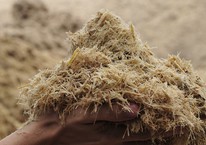 Thứ từng bị coi là phế phẩm bỏ đi nay trở thành nguồn ngoại tệ lớn khó tin, cháy hàng