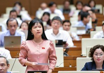 Trình đề án sáp nhập đơn vị hành chính cấp tỉnh