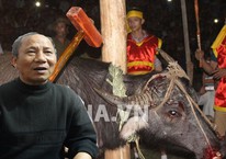 Ngay trong đêm đập trâu chết, nhiều người đã nói "phải dừng"