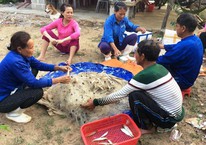 "Chốt" phương án quyết toán 500 triệu USD Formosa bồi thường