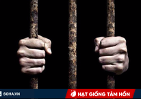Mặc mọi người gào thét, câu nói 'ngược đời' của người tù khiến nhà vua thả ngay lập tức