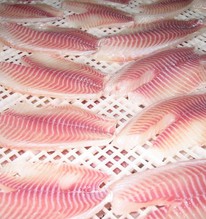 Việt Nam xuất khẩu hàng trăm nghìn tấn sản vật trị giá hơn 10 tỷ USD của TG: Mỹ, Nga liên tục chốt đơn