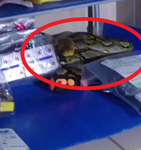 Trời nóng nên để cửa mở rồi đi ngủ cho mát, 3 giờ sáng cặp đôi tỉnh dậy phát hiện cảnh tượng đáng sợ